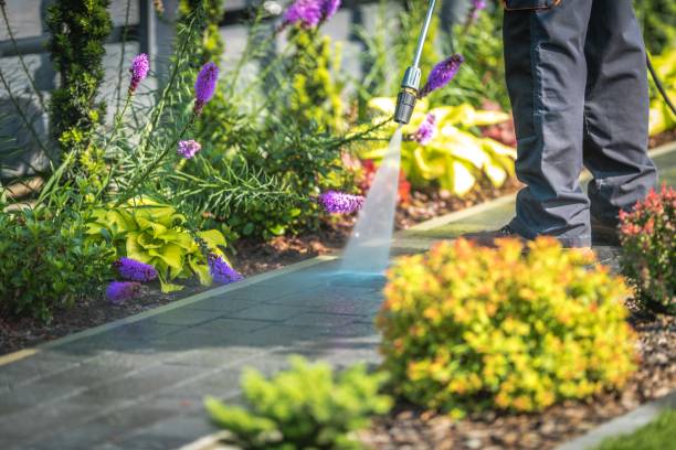 Best Patio and Deck Pressure Washing  in Dayton, NV